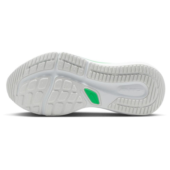 Nike Winflo 12